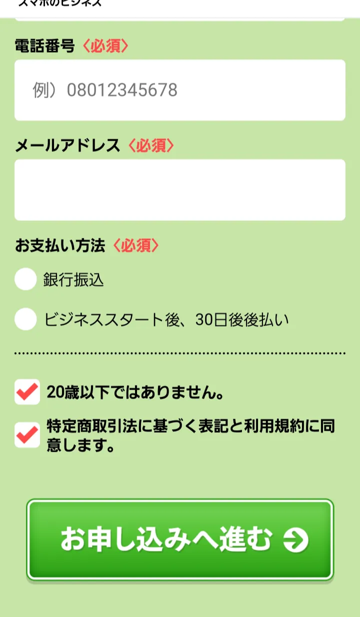 副業 詐欺 怪しい 合同会社REEF スマホのビジネス